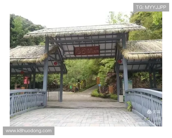 探索开云真人的发源地，分析其所在地区对游戏品质和信誉的影响